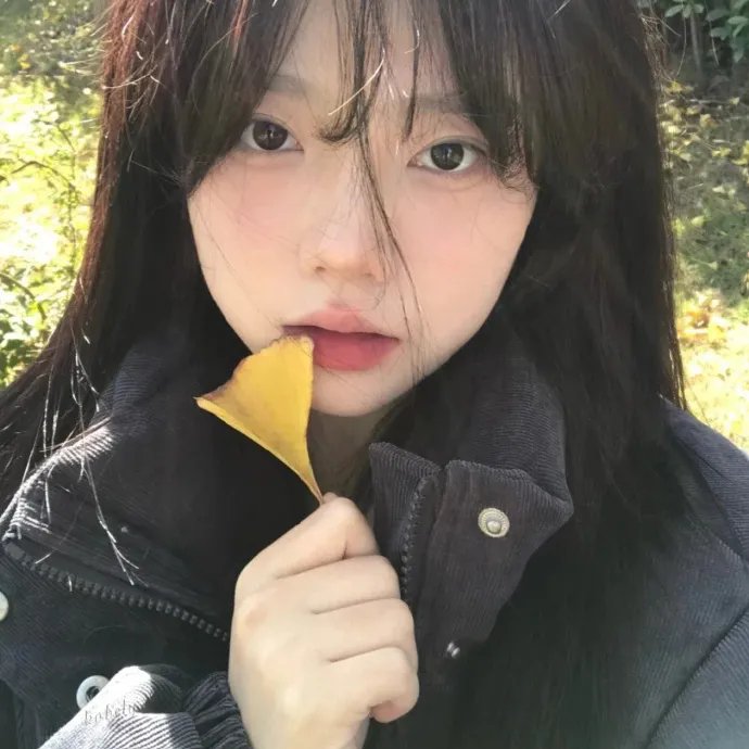 女人领地 海报